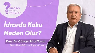 İdrarda Koku Neden Olur?