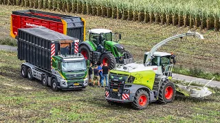 Mais 2023 - 16 FENDT Tractors | Claas Jaguar 950 | Schimmel - Scherpenzeel