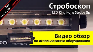 Аренда Стробоскопа Led King King Strobe  - Обзор и инструкция как пользоваться ZakazDj.Ru