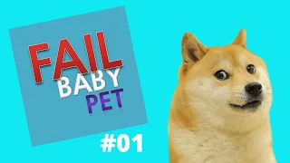 Pets That Will 100% Cure Your Mood | FAIL Baby Pet