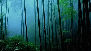 ASMR Heavy Rain: Natural Sounds to Refresh the Mind and Soul
