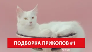 Кот на Динамике - Подборка Угарных и Убойных Приколов #1