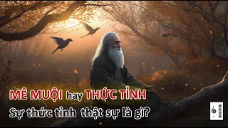 Sự thức tỉnh thật sự là gì? Có phải bạn đang mê muội thức tỉnh? - Vạn vật giác ngộ