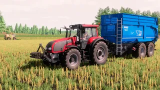 Farming Simulator 22 / Map No Man's Land / Maize silage harvesting