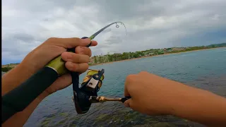 Fishing for Little Tuna and Squid!