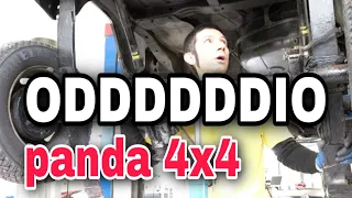 READY TO GOOOO |  PANDA 4X4 OLD STYLE