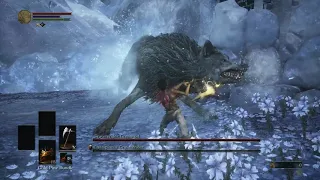 Gravetender Greatwolf SL1 NG+7 No Rolling/Blocking/Parrying (Version 2)