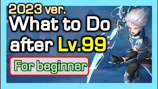 What to Do after Lv.99 (for beginner) / 2023 Version / Dragon Nest