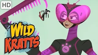 Wild Kratts 💪 Activate Tough Insect Powers! | Kids Videos