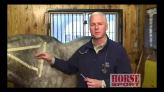 Equine Intramuscular Injections