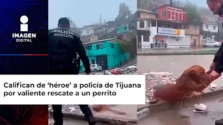 Califican de ‘héroe’ a policía de Tijuana por valiente rescate a un perrito