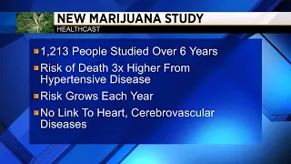 Smoking marijuana might cause hypertensive disease, study finds