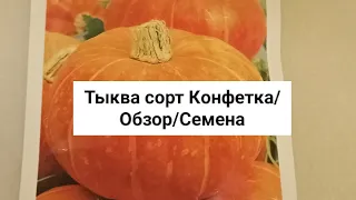 Тыква сорт Конфетка. Обзор семян и тыквы 💥 Классная дача.