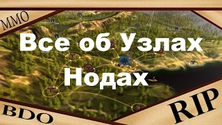 Black Desert - все об Узлах (Нодах)