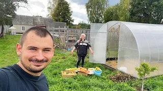 ПРОДОЛЖАЕМ СОБИРАТЬ УРОЖАЙ! СКОЛЬКО ЕЩЕ ОСТАЛОСЬ? НАША ФЕРМА! ЖИЗНЬ ПРОСТЫХ ЛЮДЕЙ В ДЕРЕВНЕ!