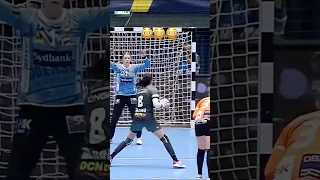 Best Goals of 2022/23 🤩 Which is your fav? 🥵 #handball #håndbold #ehfcl #amazinggoals