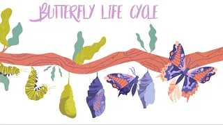 Fun Learning with KiddoKid - The Monarch butterfly