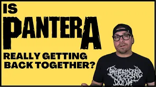 Is Pantera Really Getting Back Together?