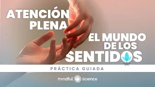 🎧 ATENCIÓN PLENA ~ EL MUNDO DE LOS SENTIDOS/Reduce el ESTRÉS y vive más FELIZ😊RELAJA TU MENTE