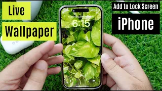 How to Set Live Wallpaper in iOS 17 (Any iPhone, 15, 15 Pro, Pro Max): 3 Methods