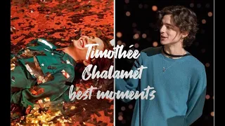 ~ Timothée Chalamet Best Moments ~