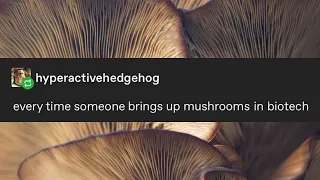 Every time someone brings up mushrooms in biotech