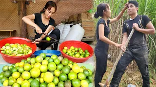 The Girl Took The Boy To Work As A Hired Laborer To Earn Money To Make Ends Meet_Triệu Văn Quang