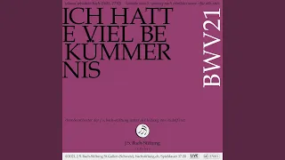 Ich hatte viel Bekümmernis, BWV 21: 8. Arie (Duett Sopran, Bass) - Komm, mein Jesu