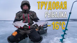 Зимняя рыбалка на мотыля. Ловля подлещика на мормышку на Печенежском водохранилище.