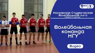 Волейбольная команда МГУ