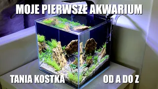 Moje Pierwsze Akwarium Tania Kostka od A do Z