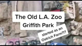 The Old, Abandoned Zoo at Griffith Park: used to be an Ostrich Farm!!