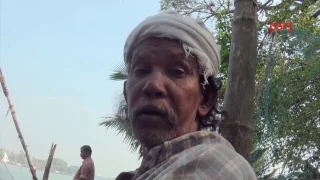 "Chinese" fishing nets of Fort Kochi