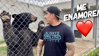 ¡Me Enamoré De Este Oso! Y Jaguar, Cocodrilos Y Mas!