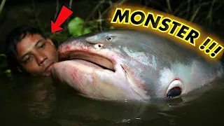 JANGAN PELIHARA 5 IKAN MONSTER INI @Predatory Fins