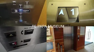 Te Papa Museum - LIFT TOUR