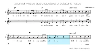 🎶 Gounod, Messe Aux Chapelles: O Salutaris Hostia 🎸🎸