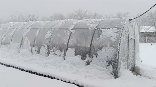 Апокалипсис на Теплого Алексея. Последствия. Выдержала теплица???🫣🤔