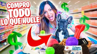 COMPRO TODO LO QUE HUELE LOKI 😅 Nuevo Perro Frenchie y Nuevo Maquillaje 😍 Sandra Cires Art