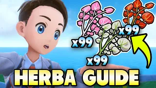 🌿 BEST HERBA MYSTICA FARMING GUIDE For Pokemon Scarlet & Violet