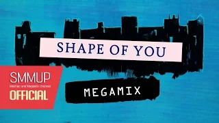 Shape of You (megamix) | Sia, Zarra larsson, Ariana Grande, and more: