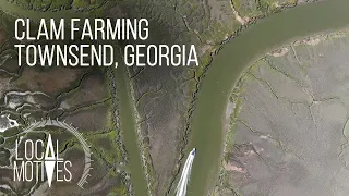 All Tied Together | Clam Farming in Georgia