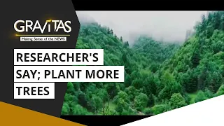 Gravitas: Study: Reforestation can help halt climate change