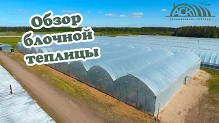 Обзор промышленной теплицы блочного типа | ООО "АгроСтройКомплект"