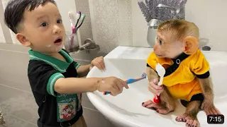 Monkey Diana and baby Roma brushing their teeth together are adorable