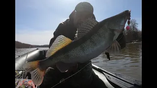 Судак Ранней Весной Джиг  по р. Десна ! Где и на Что ловить ? По ХОЛОДНОЙ ВОДЕ !