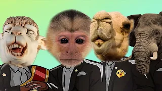 Funny Monkey & Elephant & Sheep & Camel - Coffin Dance Meme ( COVER )
