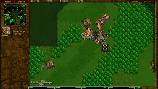 Warcraft 2 KPspwood 4v4