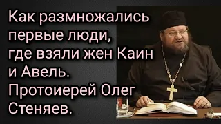 Как размножались первые люди, где взяли жен Каин и Авель. Протоиерей Олег Стеняев.