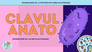 CLAVULANATO | INHIBIDOR DE LAS BETALACTAMASAS